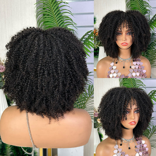 High Quality Nature Black Kinky Curly Raw Human Hair Wigs