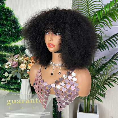 Nature Black Burmese Curly Human Hair Wig